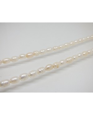 Silver & Freshwater Pearl Necklace 5.5mm