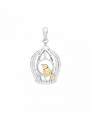 Silver Gold-Plated Bird Cage Charm & Chain