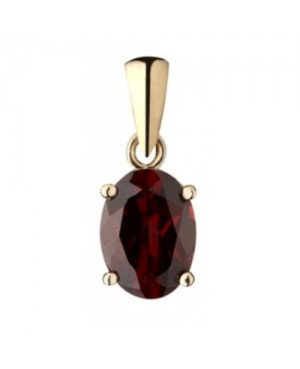 9ct Yellow Gold and Garnet Oval Claw Set Pendant